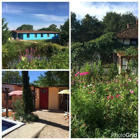 Traumhaus Im Burgund Pension Montpont-en-Bresse Buitenkant foto